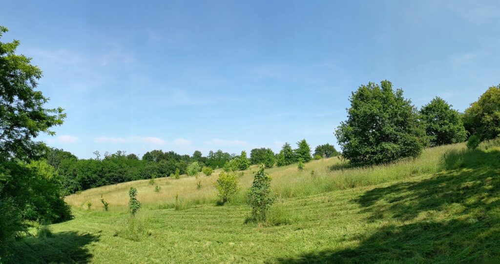Arboretum du bassecq
