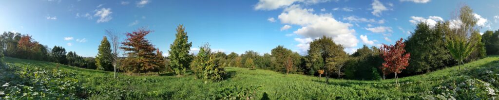 Vue panoramique de l'Arboretum du Bassecq