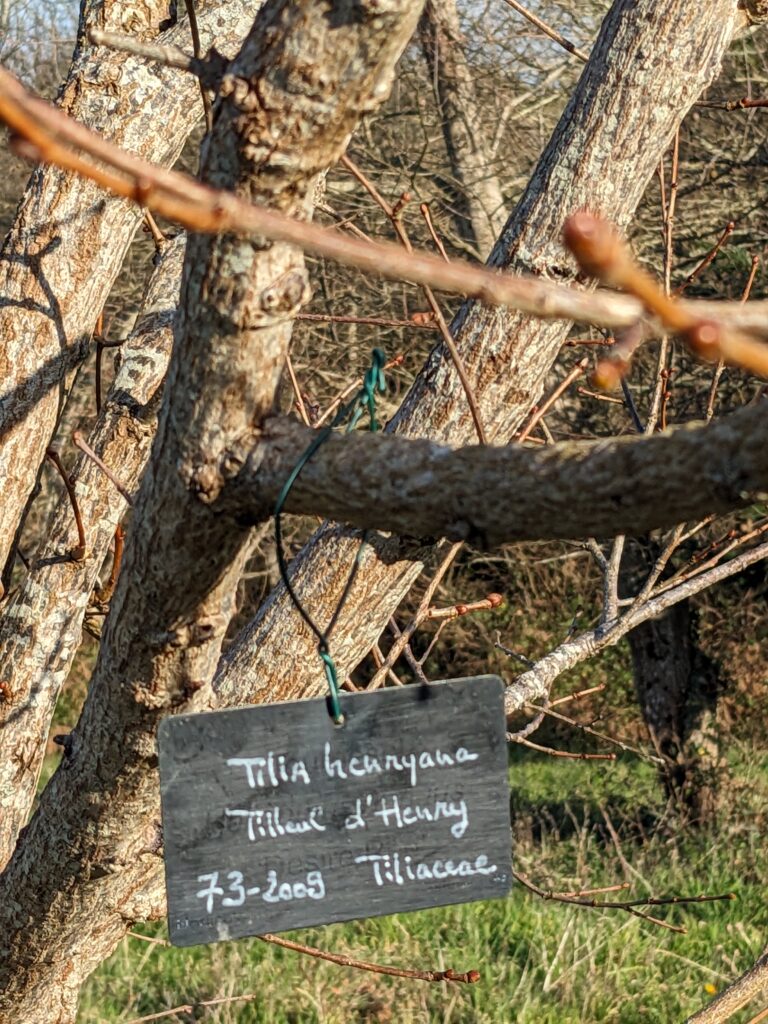L'étiquetage des arbres