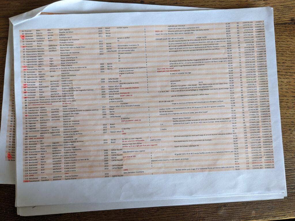 De l'utilité d'un fichier excel pour géolocaliser les arbres