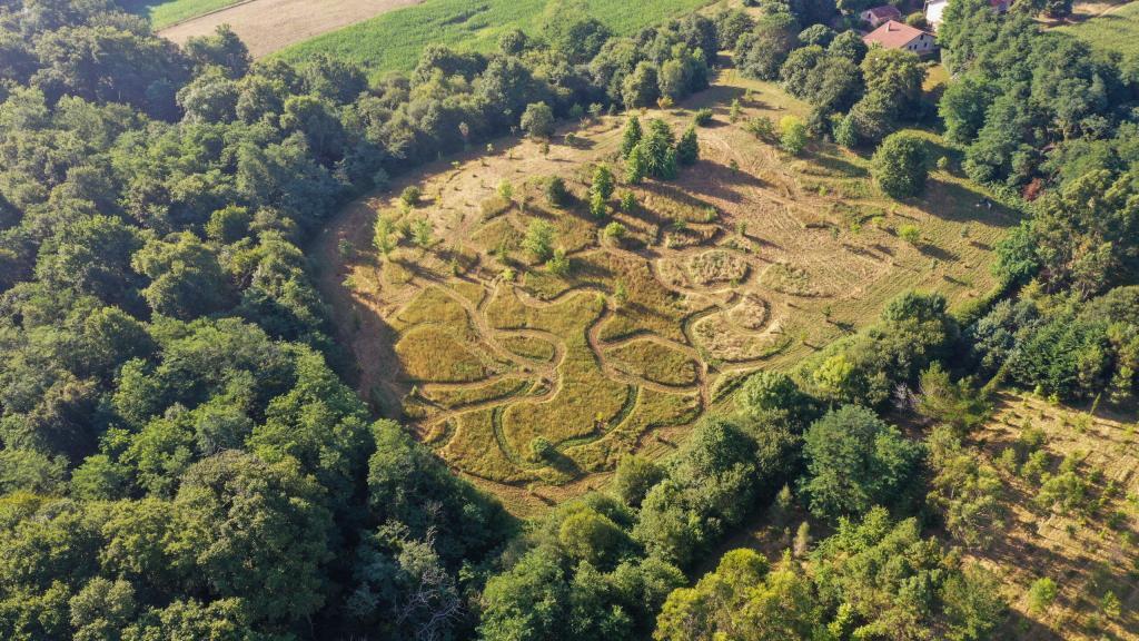 Vue de l'arboretum depuis un drone.