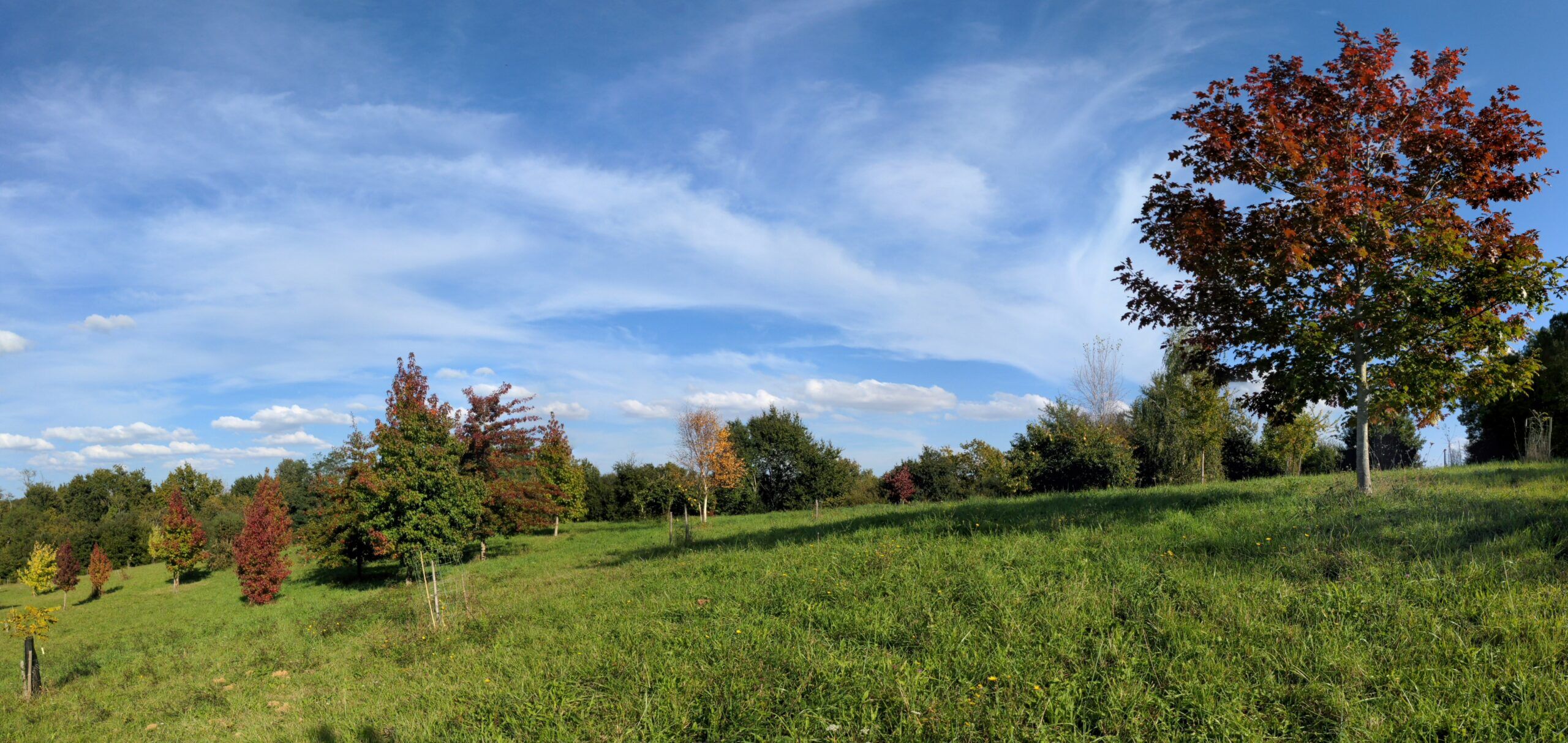 L'Arboretum en 2021